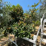 I Giardini Di Margius Itri