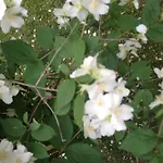 I Giardini Di Margius *