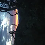 I Giardini Di Margius