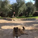 I Giardini Di Margius * Itri
