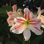 I Giardini Di Margius Vakantieboerderij *