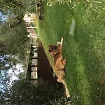 I Giardini Di Margius Vakantieboerderij