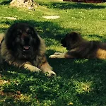I Giardini Di Margius Vakantieboerderij *