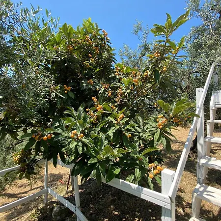 I Giardini Di Margius איטרי