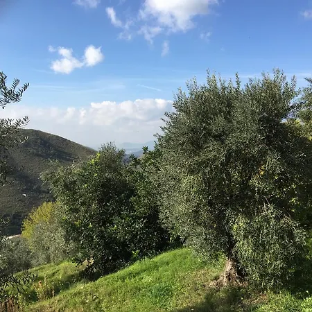 I Giardini Di Margius *