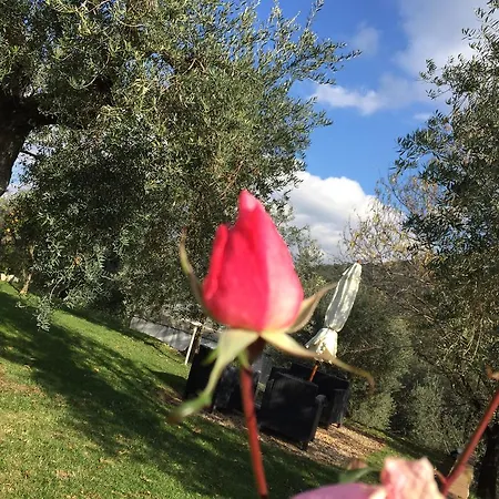 I Giardini Di Margius * איטרי