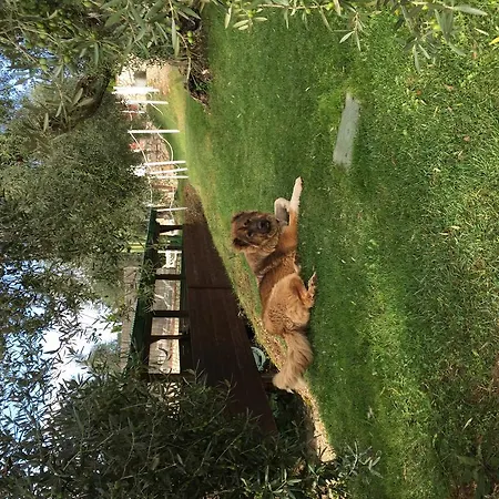 I Giardini Di Margius Κατάλυμα σε φάρμα