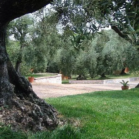 בית חווה I Giardini Di Margius *
