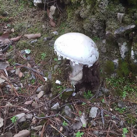 I Giardini Di Margius Itri