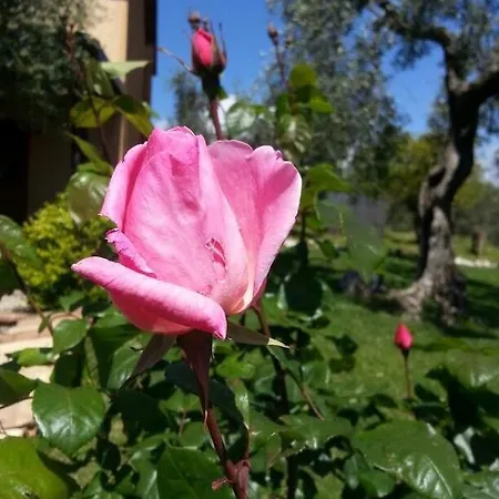 I Giardini Di Margius איטרי
