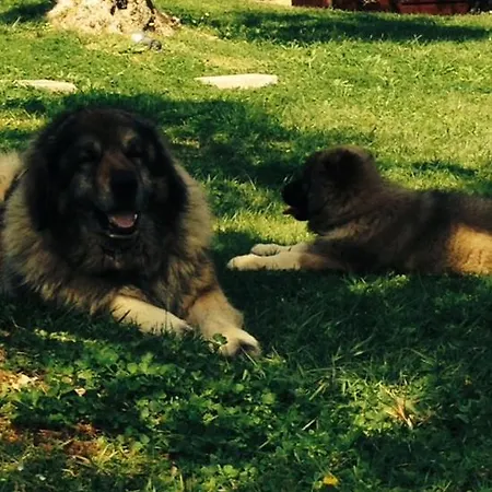 I Giardini Di Margius Κατάλυμα σε φάρμα *
