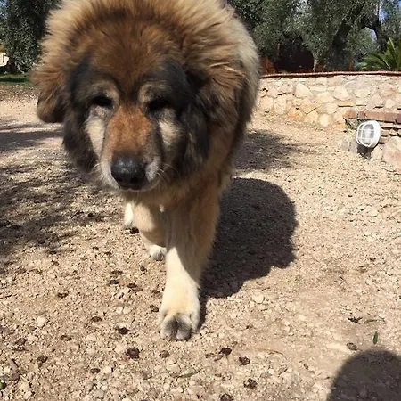 Vakantieboerderij I Giardini Di Margius *