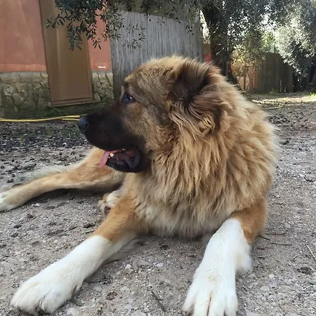 I Giardini Di Margius *