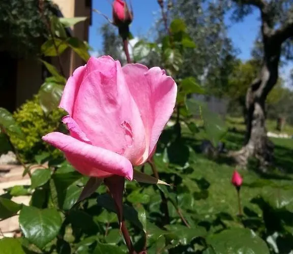 I Giardini Di Margius Itri