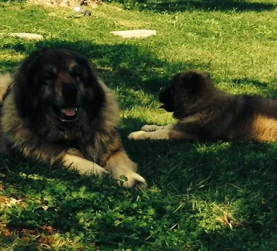 I Giardini Di Margius Farmház *